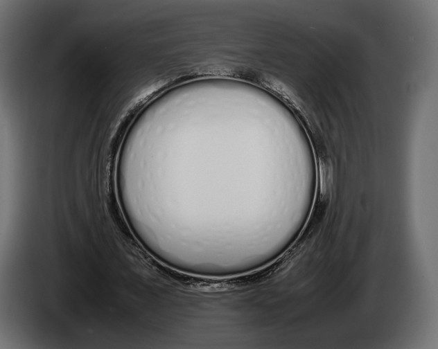 X0000083000675200703020905