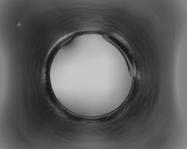 X0000083000676200703020905