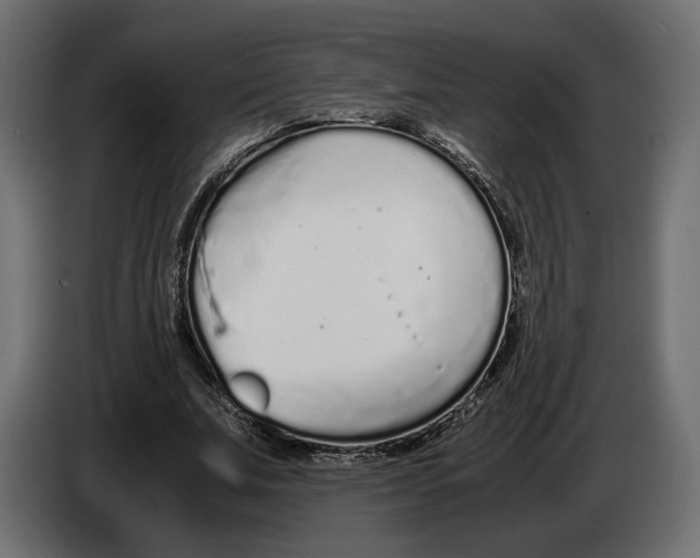 X0000083000679200703020905