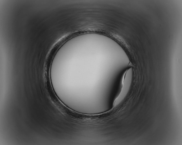 X0000083000680200703020905