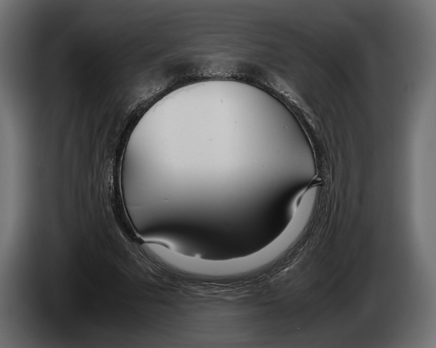 X0000083000681200703020905