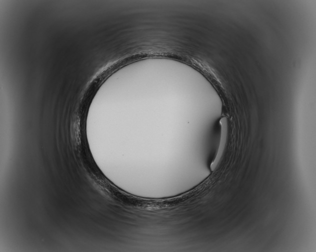 X0000083000684200703020905