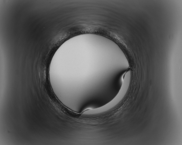 X0000083000685200703020905