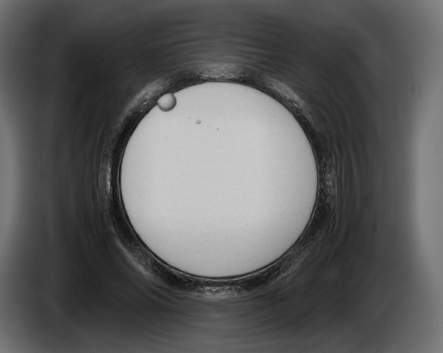 X0000083000686200703020905