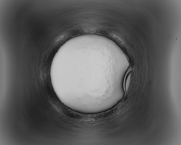 X0000083000687200703020905