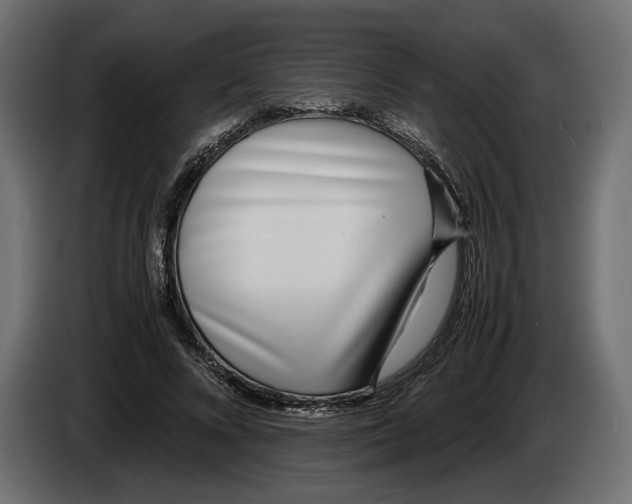 X0000083000688200703020905