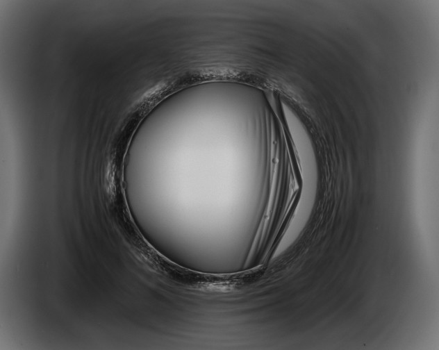 X0000083000692200703020905