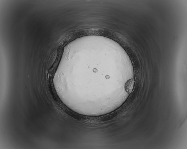 X0000083000695200703020905