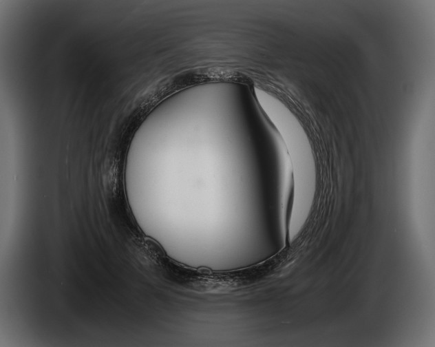 X0000083000697200703020905