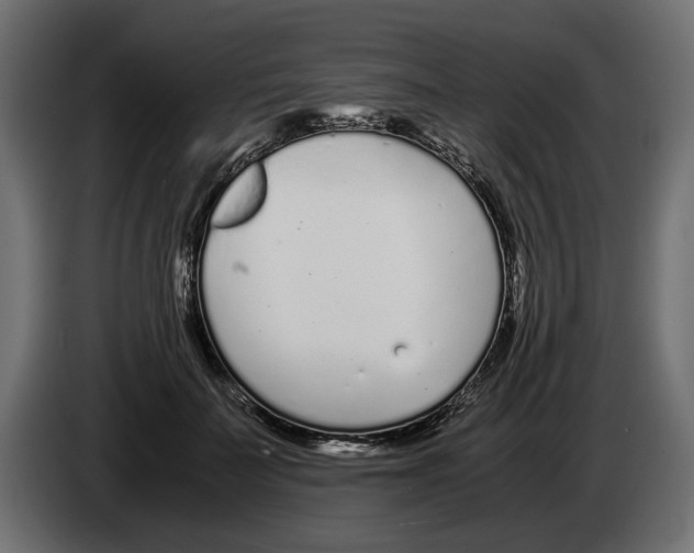 X0000083000699200703020904