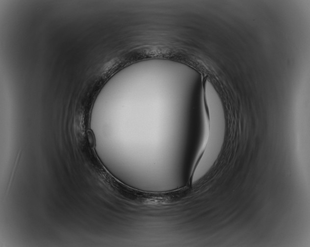 X0000083000700200703020904