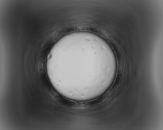 X0000083000703200703020904