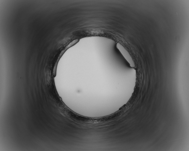 X0000083000704200703020904