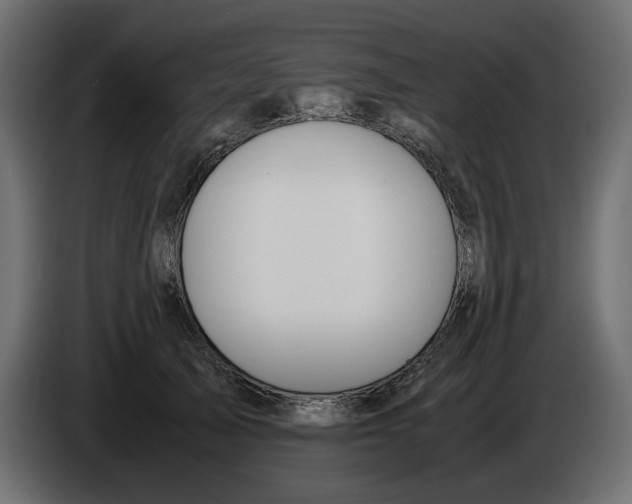 X0000083000705200703020904