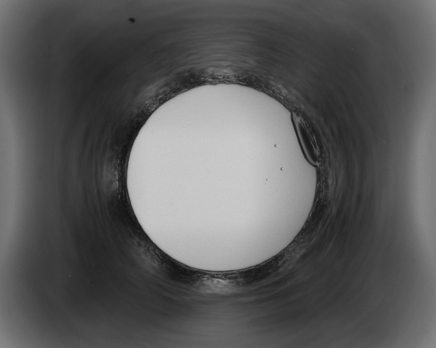 X0000083000706200703020904