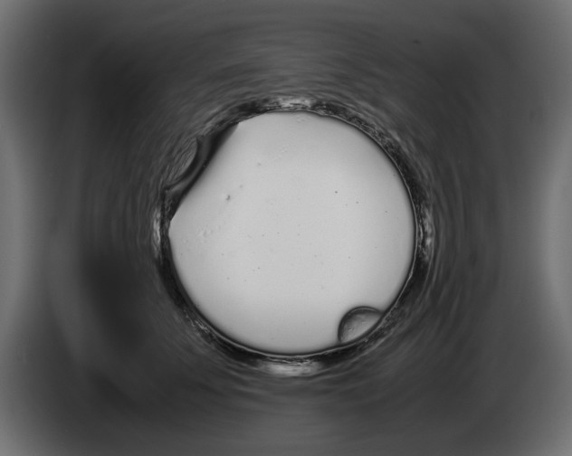 X0000083000707200703020904