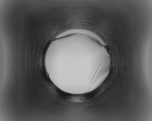 X0000083000708200703020904