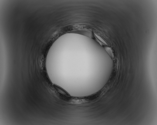 X0000083000712200703020904