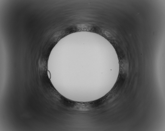 X0000083000713200703020904