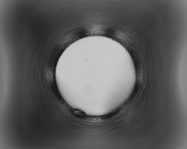 X0000083000715200703020904