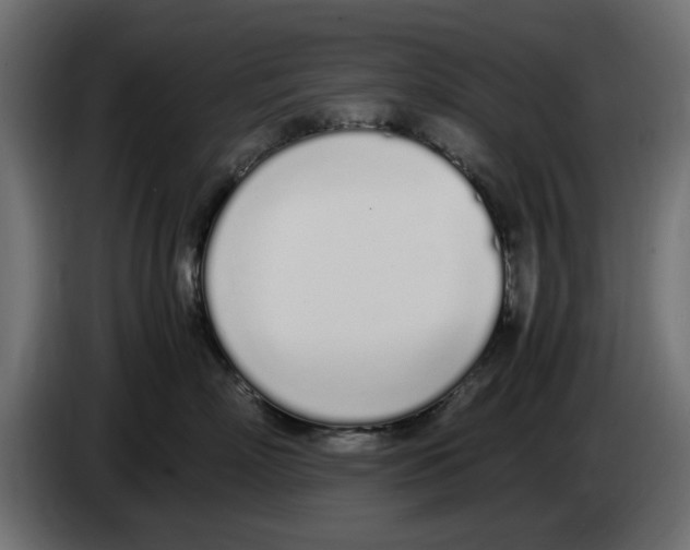 X0000083000718200703020904