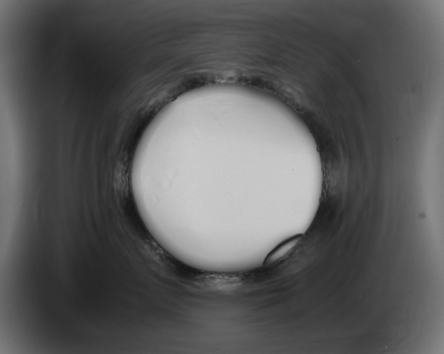 X0000083000719200703020904