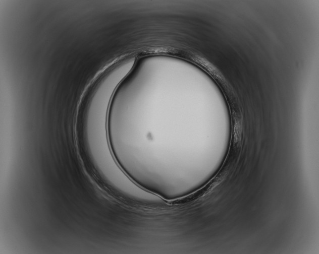 X0000083000722200703020904