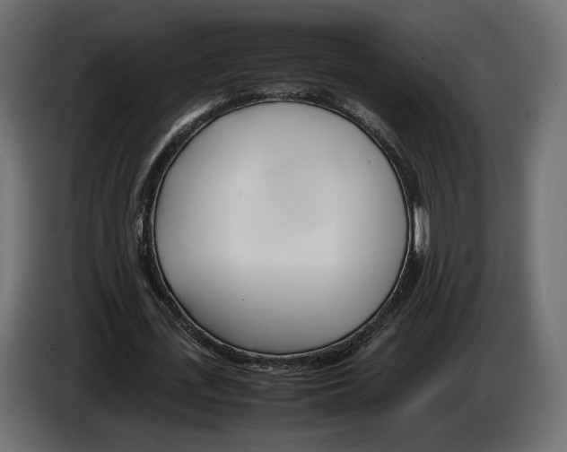 X0000083000723200703020904