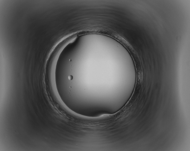 X0000083000724200703020904