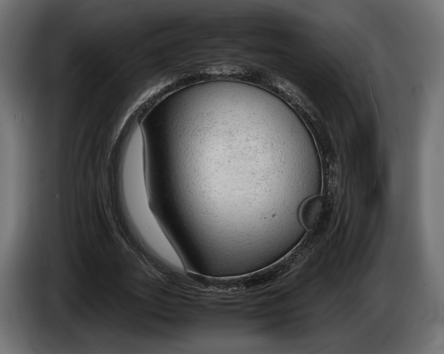 X0000083000727200703020904