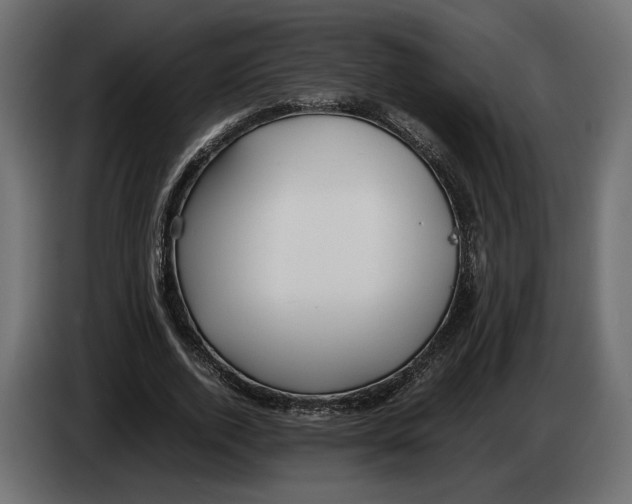 X0000083000728200703020904