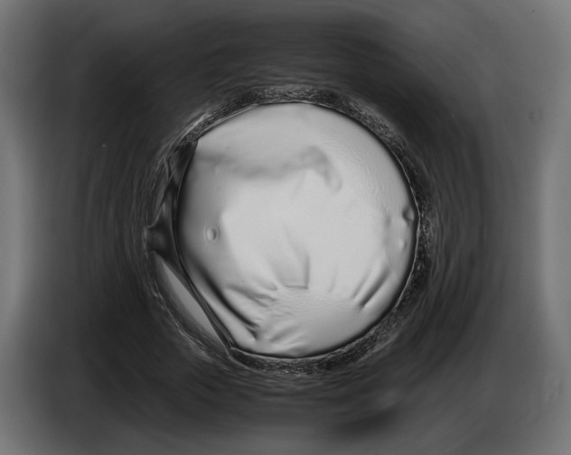 X0000083000729200703020904