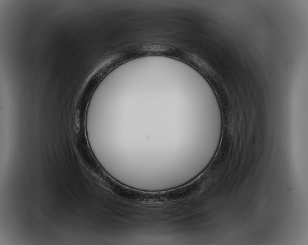 X0000083000731200703020904