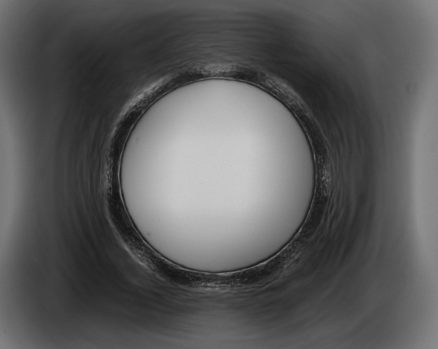 X0000083000732200703020904