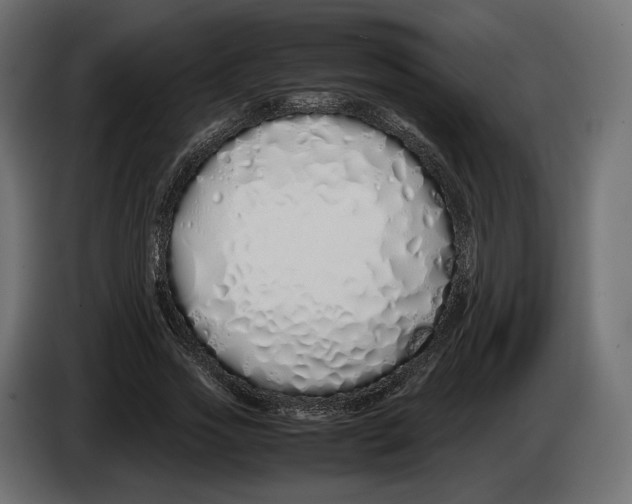 X0000083000733200703020904