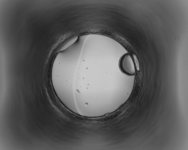 X0000083000734200703020904