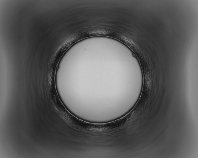 X0000083000735200703020904