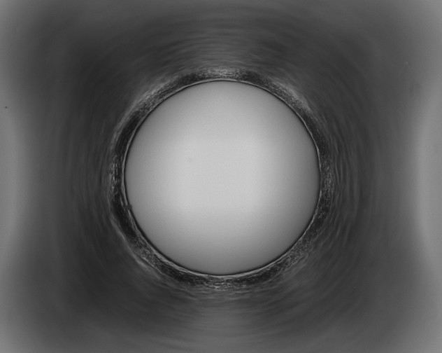 X0000083000736200703020904