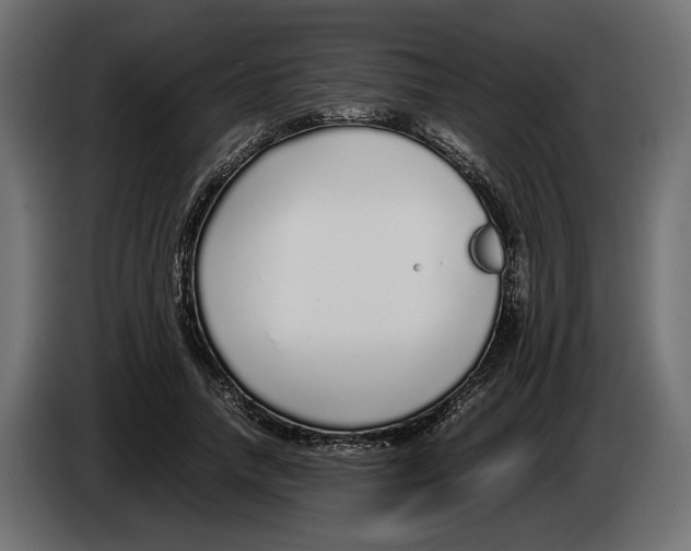 X0000083000738200703020904