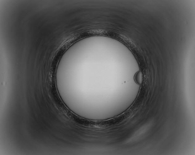 X0000083000739200703020904