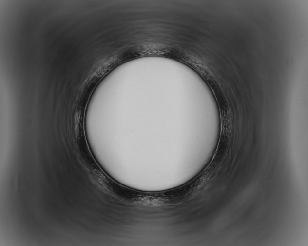 X0000083000742200703020904