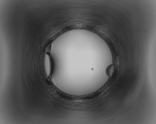 X0000083000746200703020904