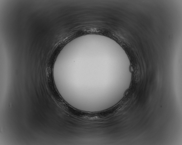 X0000083000747200703020904