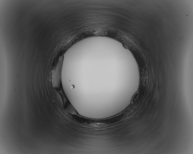 X0000083000748200703020904