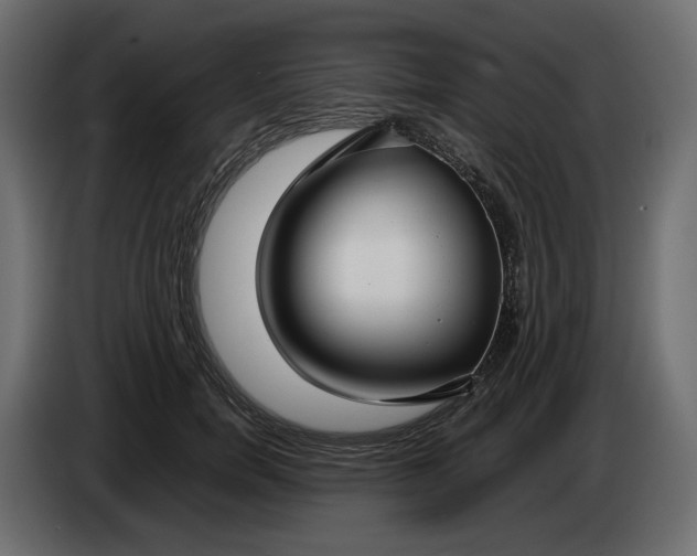 X0000083000750200703020904