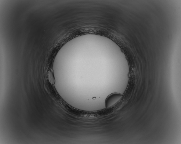 X0000083000751200703020904