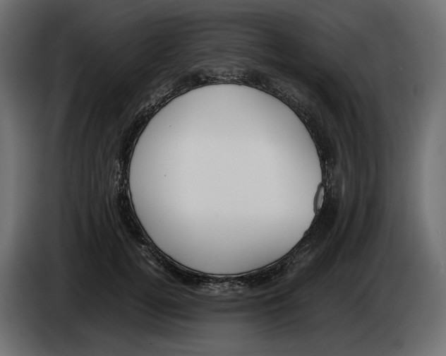 X0000083000752200703020904