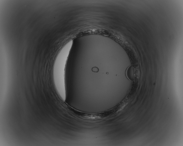 X0000083000754200703020904