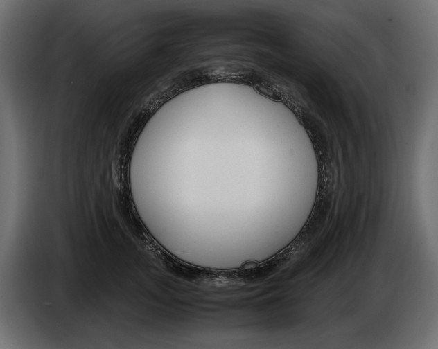 X0000083000755200703020904