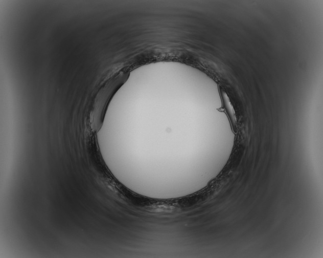 X0000083000756200703020904